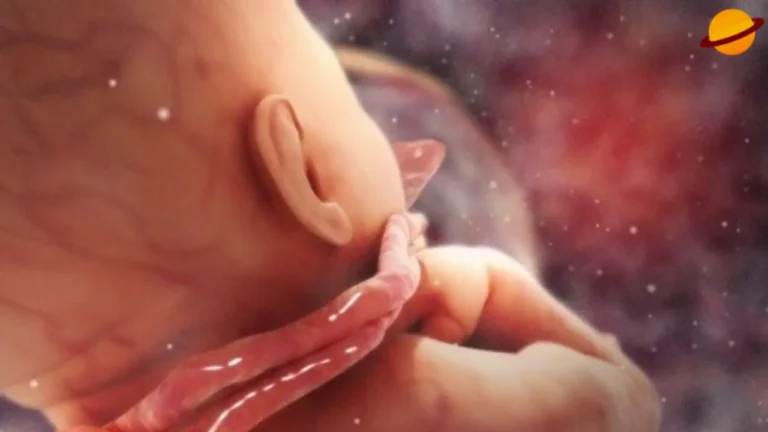 The Spiritual Meaning of Umbilical Cord Around Neck
