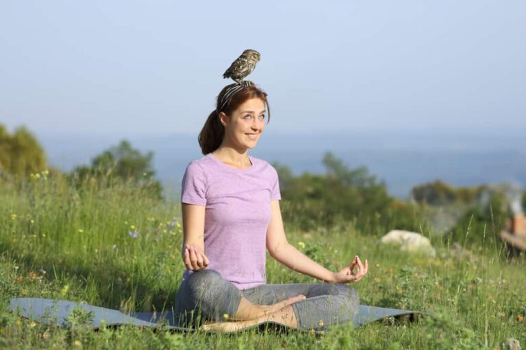 Spiritual Interpretation of a Bird Landing on Your Head