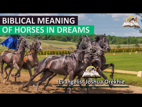 The Biblical Meaning of Riding a Horse in Your Dreams