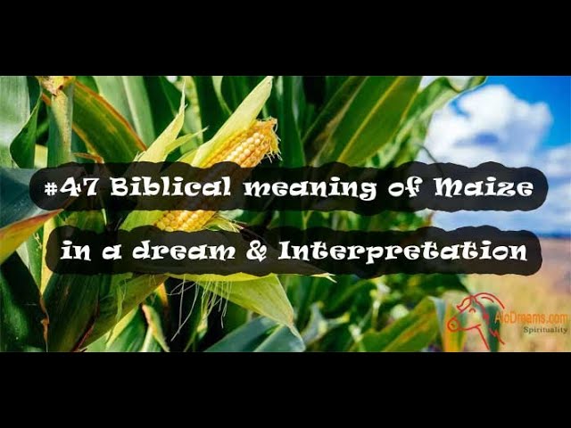 The Spiritual Meaning of Corn in the Bible
