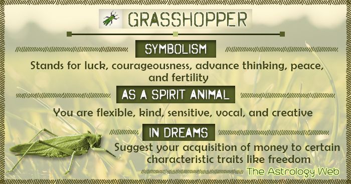 The Enlightening Grasshopper Spiritual Meaning