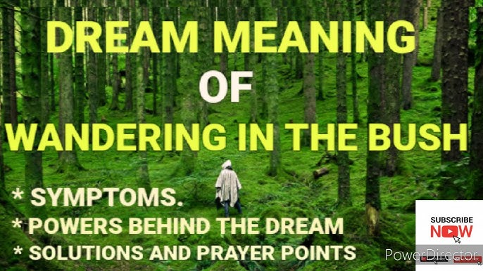 Unveiling the Biblical Meaning of Being Lost in a Dream