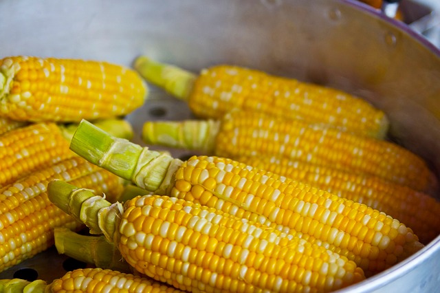 spiritual meaning of corn
