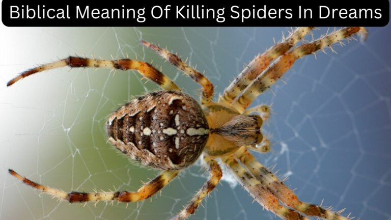 The Biblical Meaning of Killing Spiders in Dreams